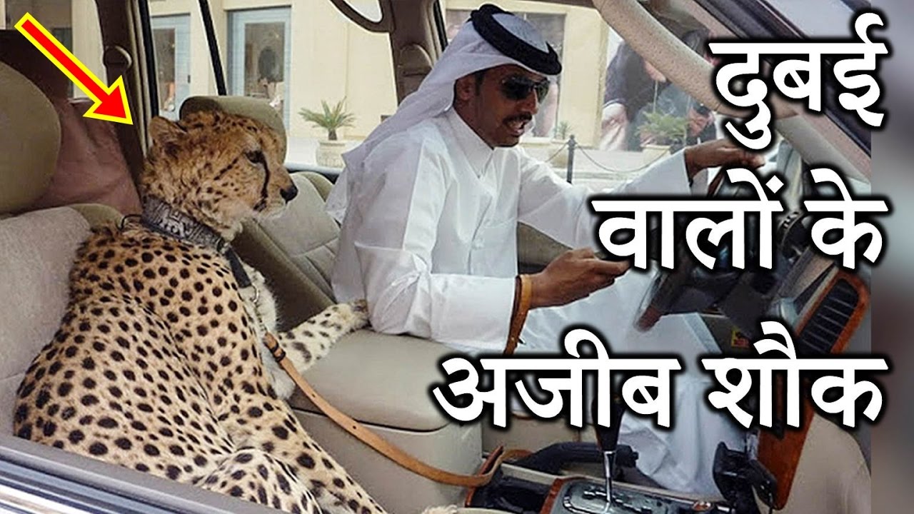 HOT NEWS UPDATE : ऐसी चीज़े आपको सिर्फ दुबई में मिलेगी || जानने के लिए देखिये ये वीडियो