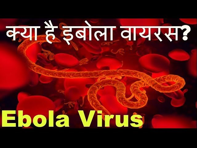 जाने क्या है इबोला वायरस, कैसे फैलता है ये Ebola virus