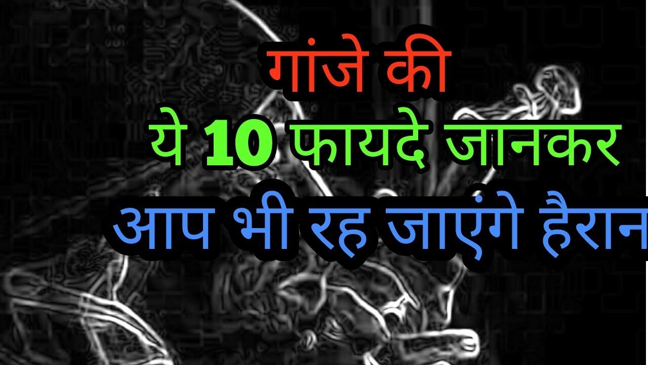 गांजा के यह चौकाने वाले फायदे और नुकसान, जानकार हैरान हो जाएंगे