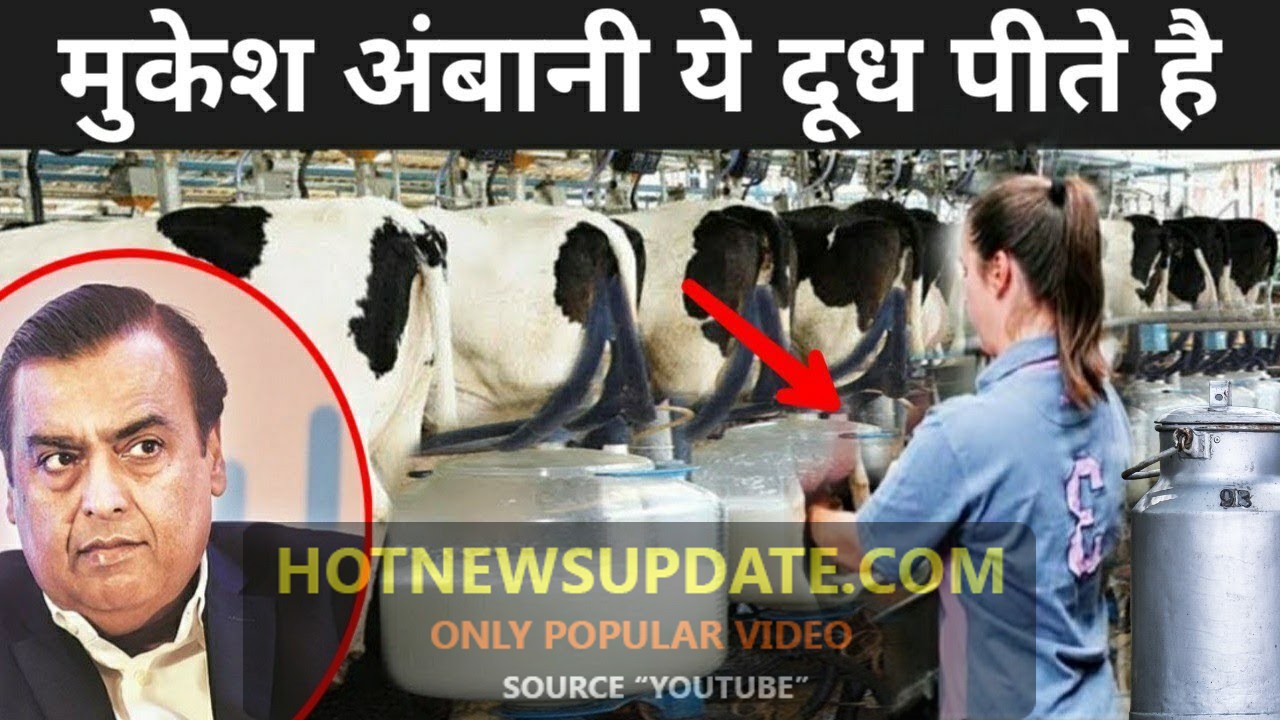 इस डेयरी का दूध पीते हैं मुकेश अंबानी।Mukesh Ambani Favourite Dairy Milk।