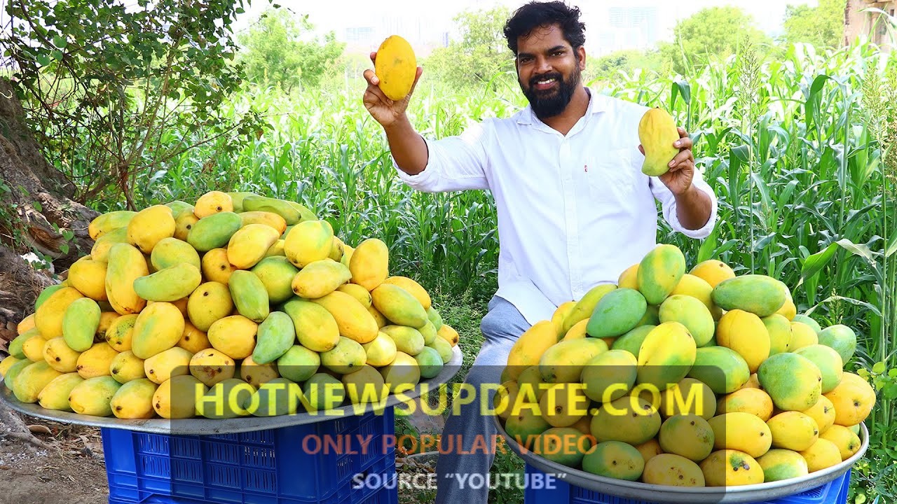 Easy Home Made Mango Ice Cream Recipe For Summer।