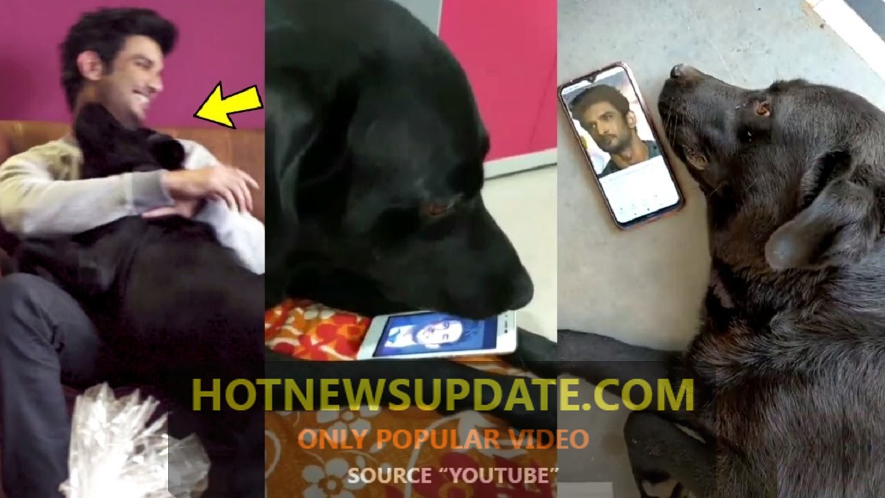 Sushant Singh Rajput Dog Fudge MISSING Him।